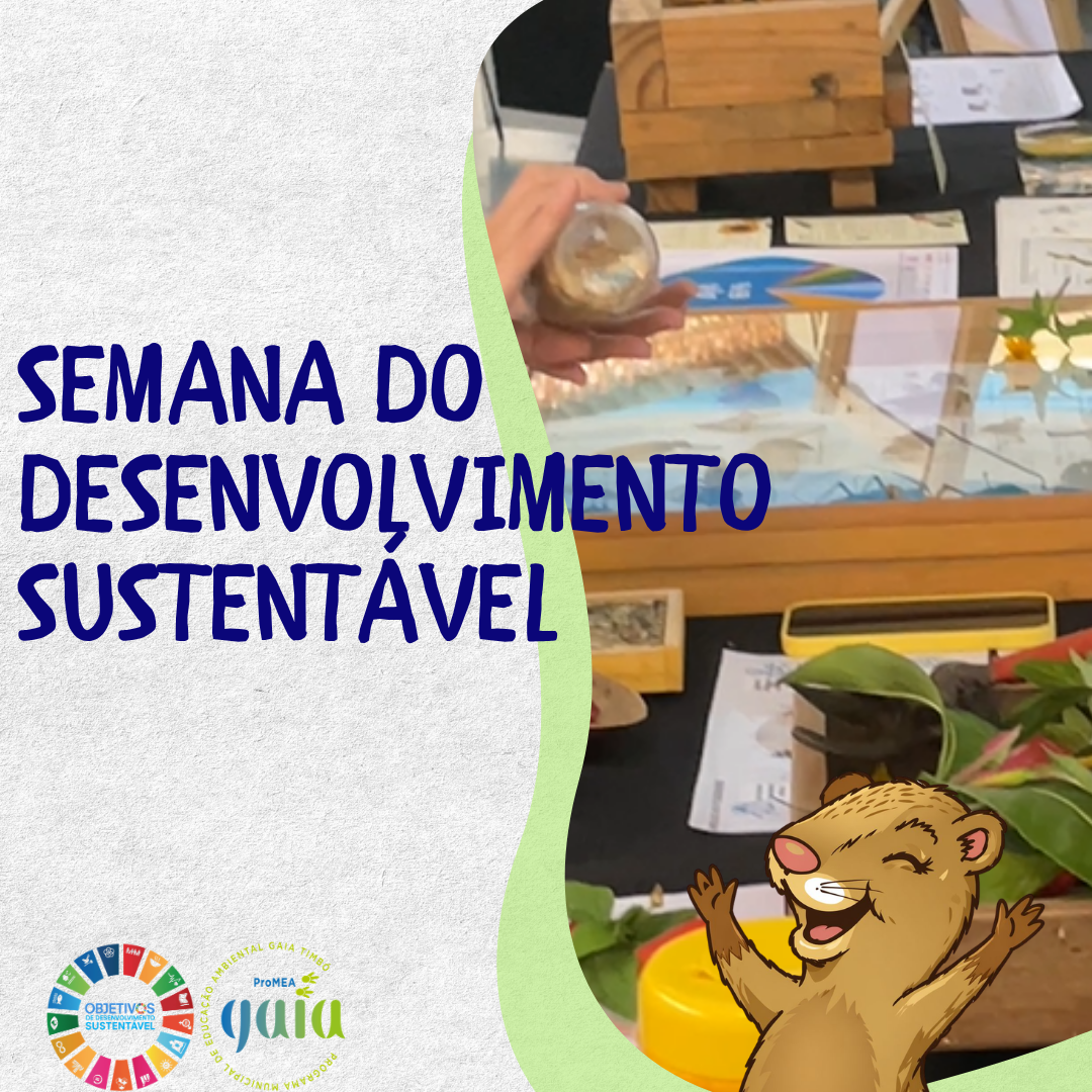 Semana do Desenvolvimento Sustentável