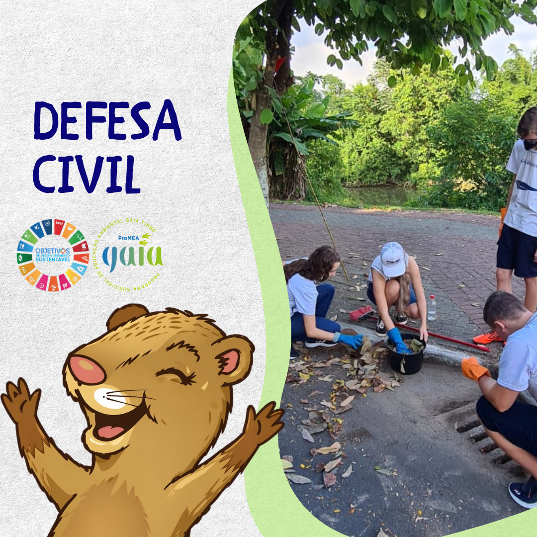 Defesa Civil