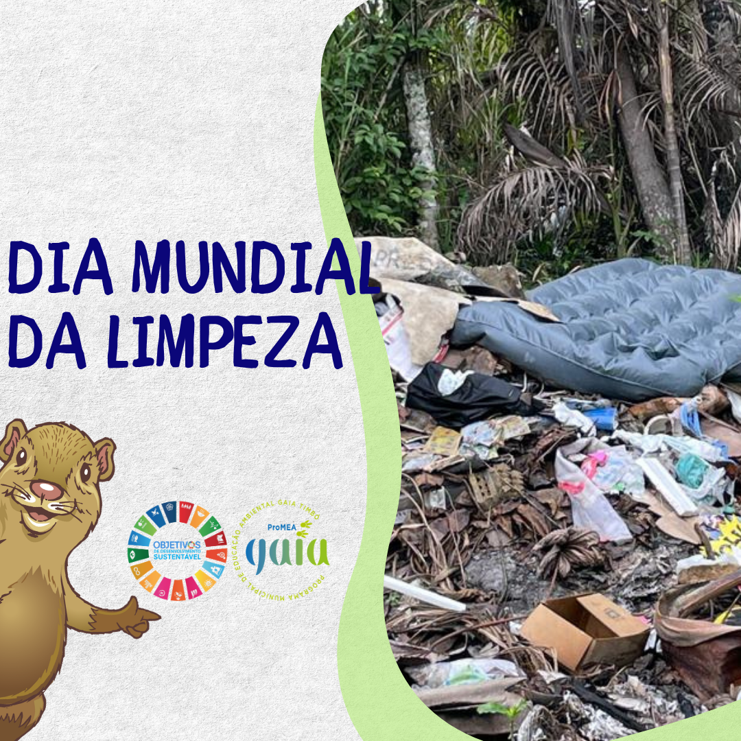 Dia Mundial da Limpeza (World Cleanup Day)