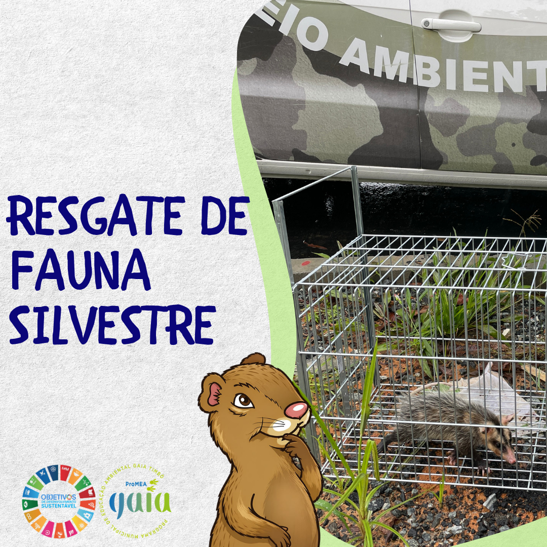 Resgate de Fauna Silvestre