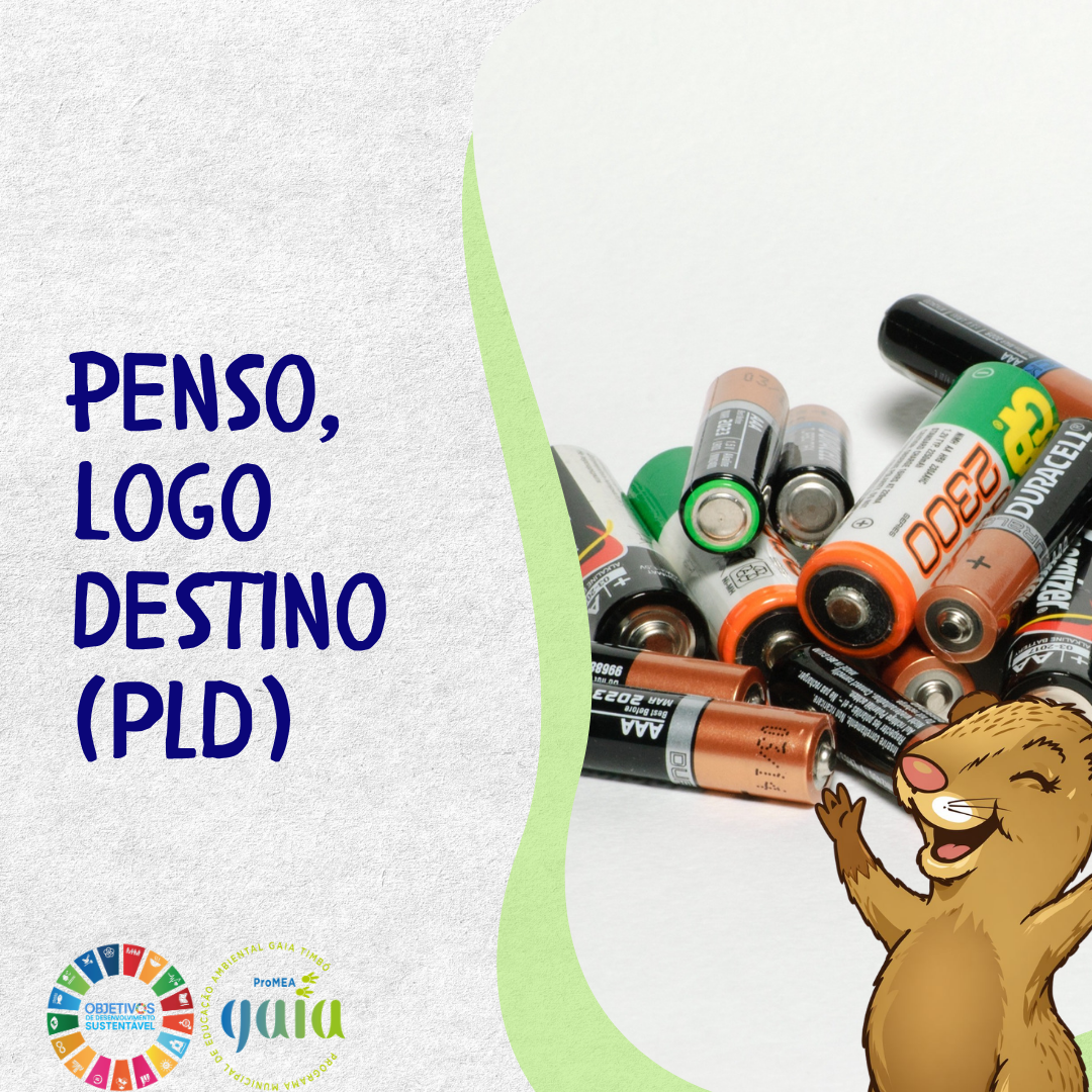 Penso, Logo Destino