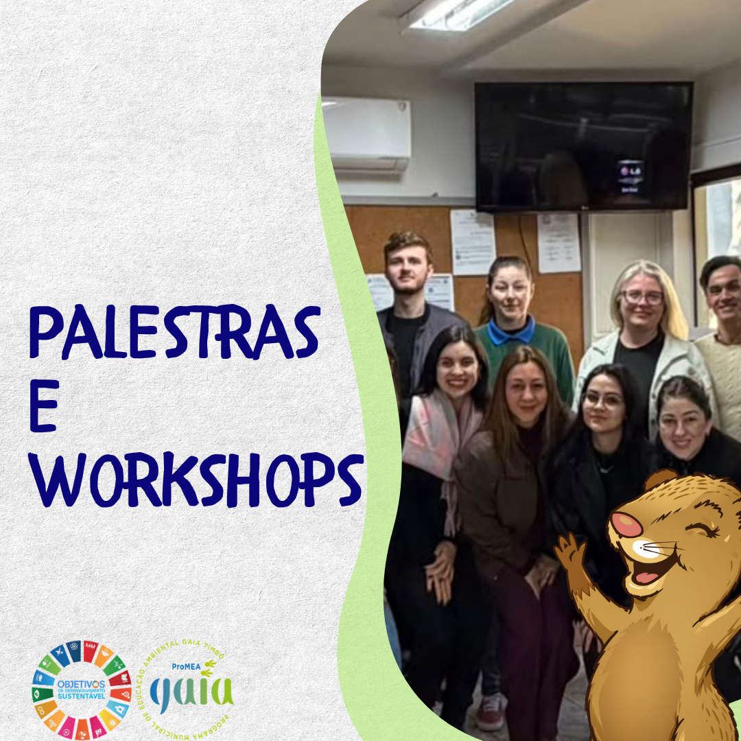 Palestras e Workshops